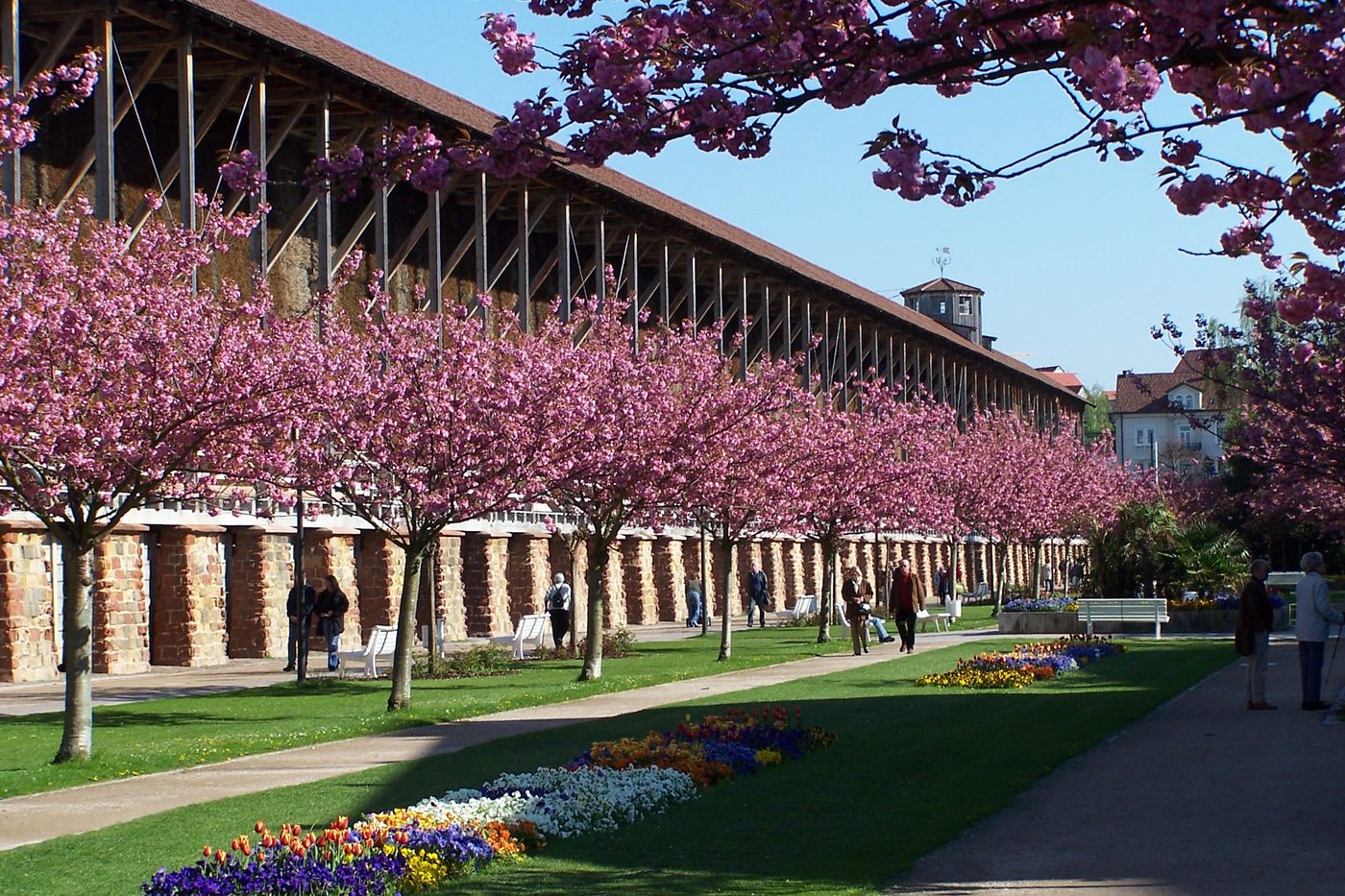 Salt-works Gradierbau in Bad Dürkheim behind blossoming trees